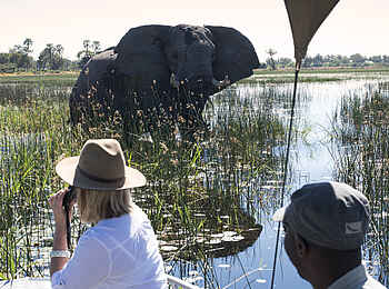 Nxabega Okavango Tented Camp: Elefant ganz nah