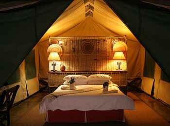 Pom Pom Camp: Aufgebettet Pom Pom Camp: Aufgebettet