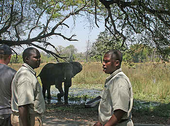 Pom Pom Camp: Besuch im Camp Pom Pom Camp: Besuch im Camp