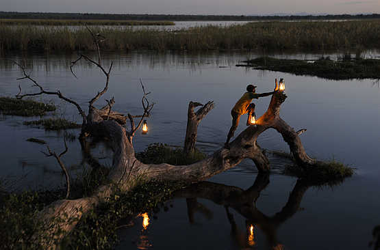 Sausage Tree Camp: Abendbeleuchtung Sausage Tree Camp: Abendbeleuchtung