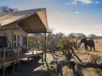 Somalisa Expeditions Camp: Ein Elefant zu Besuch