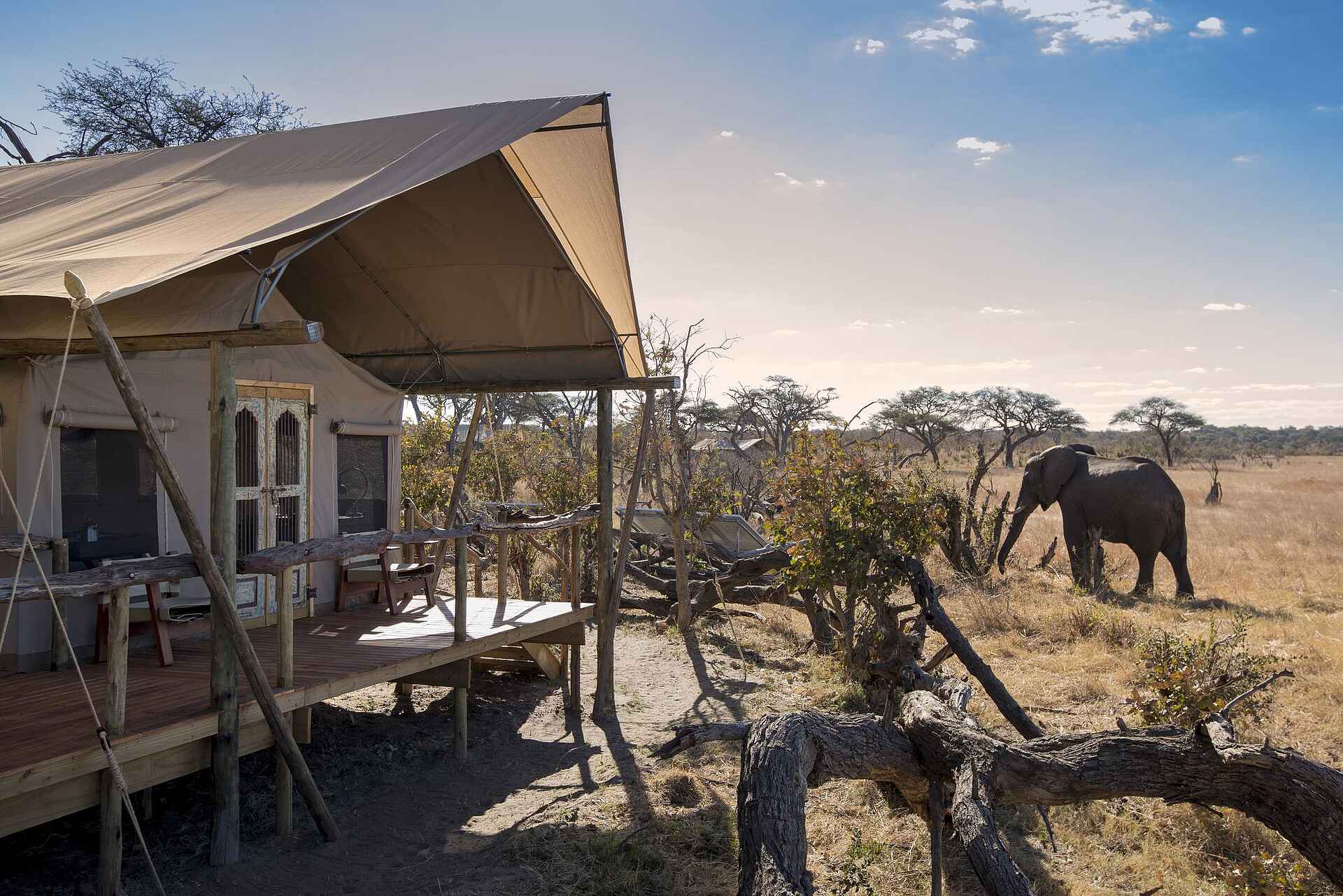 Somalisa Expeditions Camp: Ein Elefant zu Besuch