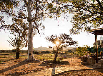 Voigtland Guesthouse: Der Garten