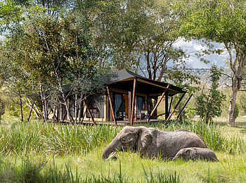 Wilderness Mara Camp: Zeltsuite von außen