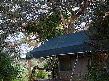 Elephant Valley Lodge: Gästezelt Elephant Valley Lodge: Gästezelt