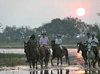 Kujwana Camp: Ausritt am Nachmittag