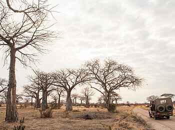 Kwihala Camp: Safarifahrzeug von hinten