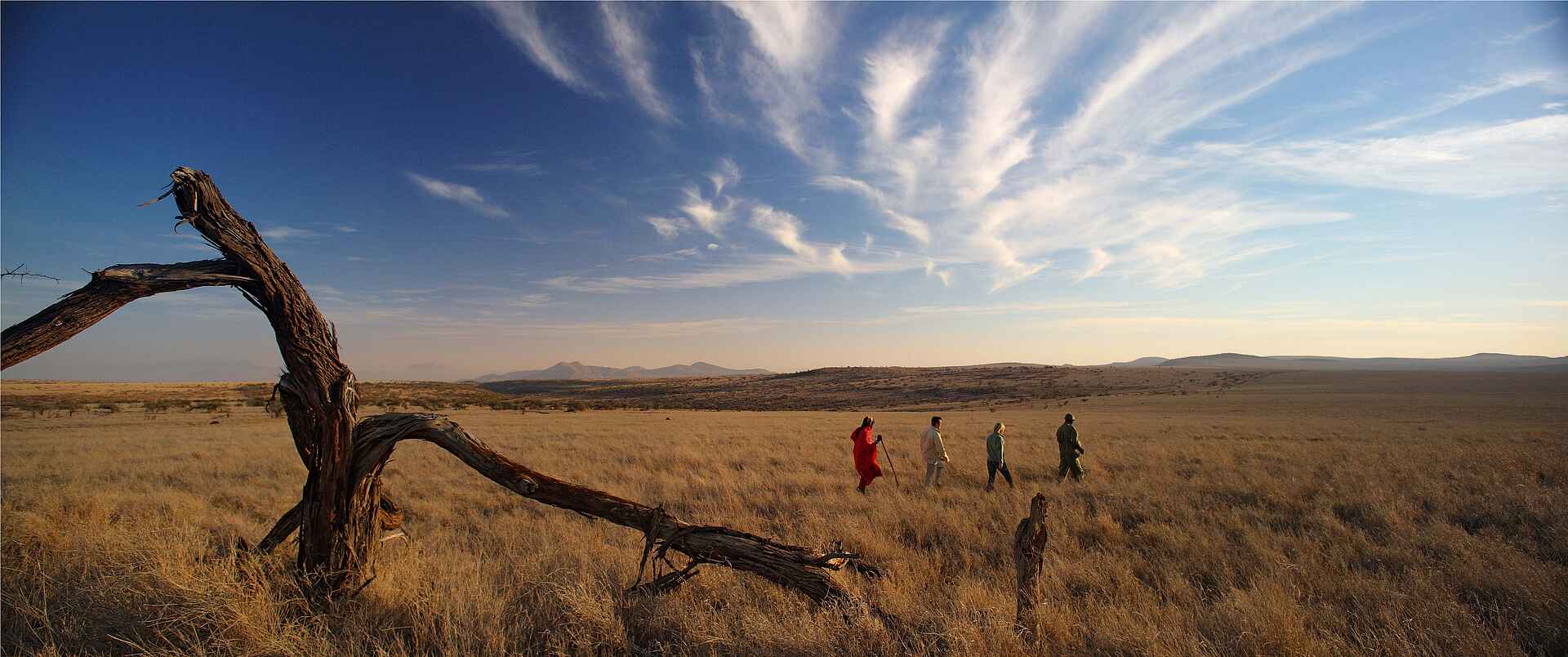 Lewa Safari Camp: Guided Walk