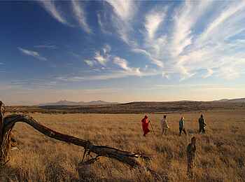 Lewa Safari Camp: Guided Walk
