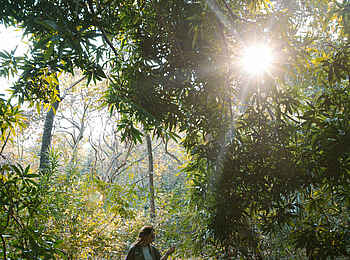 Mbali Mbali Mahale Lodge: Im Wald