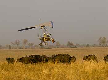 Microlight-Flug im Tafika Camp: Über einer Büffelherde