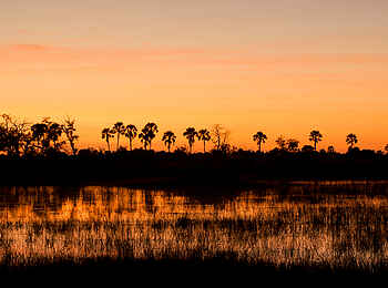 Nxabega Okavango Tented Camp: Sonnenuntergang