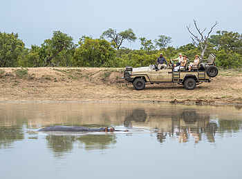 Tintswalo Safari Lodge: Sichtung eines Nilpferds