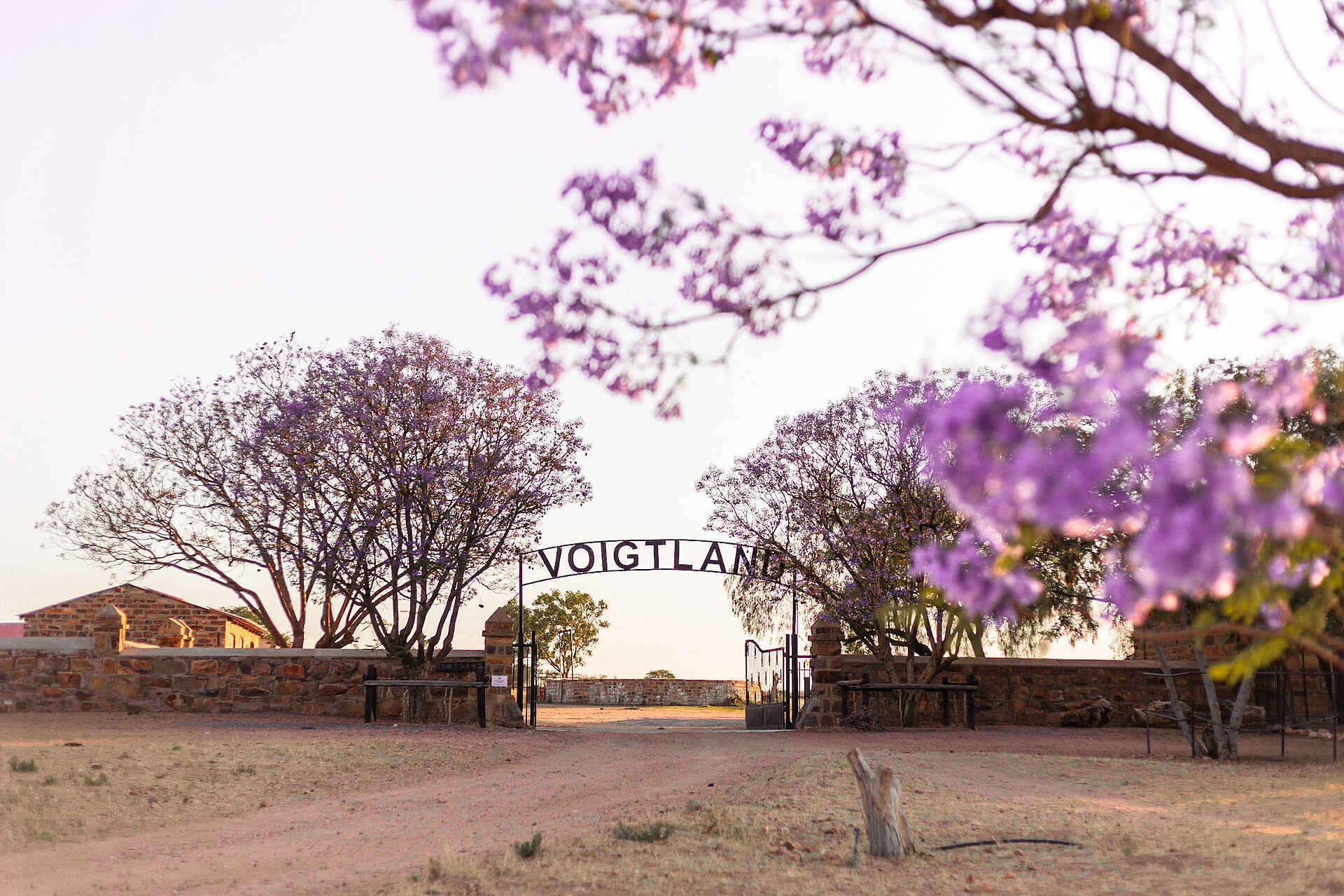 Voigtland Guesthouse: Der Torbogen