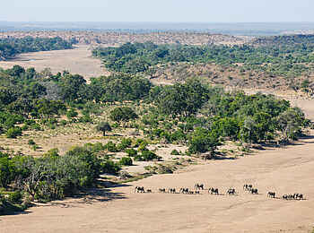 Mashatu Game Reserve: Elephant Crossing