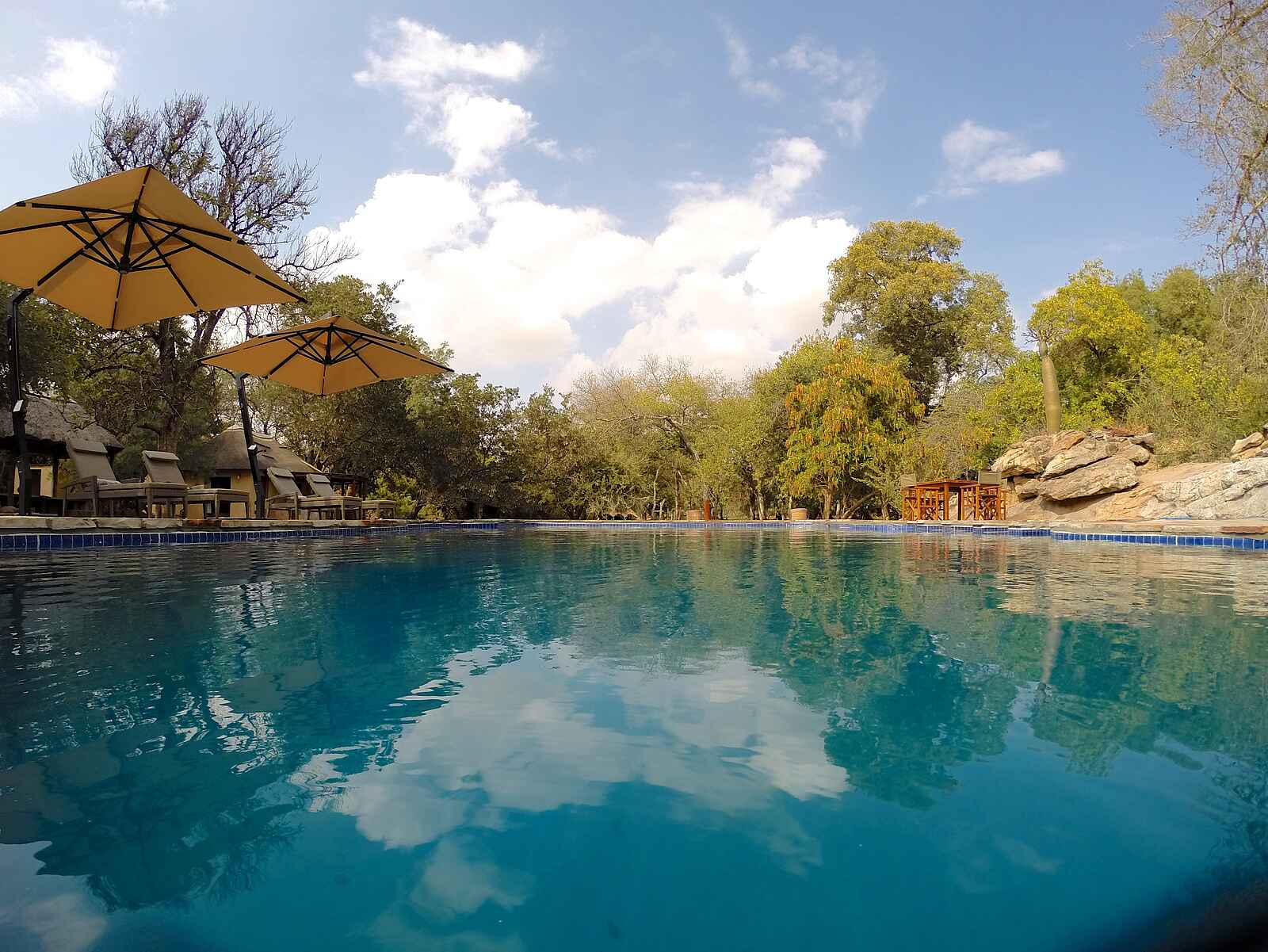 Tuli Safari Lodge Mashatu: Der Swimmingpool Tuli Safari Lodge Mashatu: Der Swimmingpool