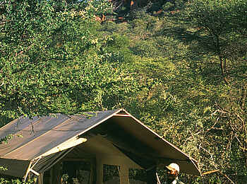 Chobe under Canvas: Campleben