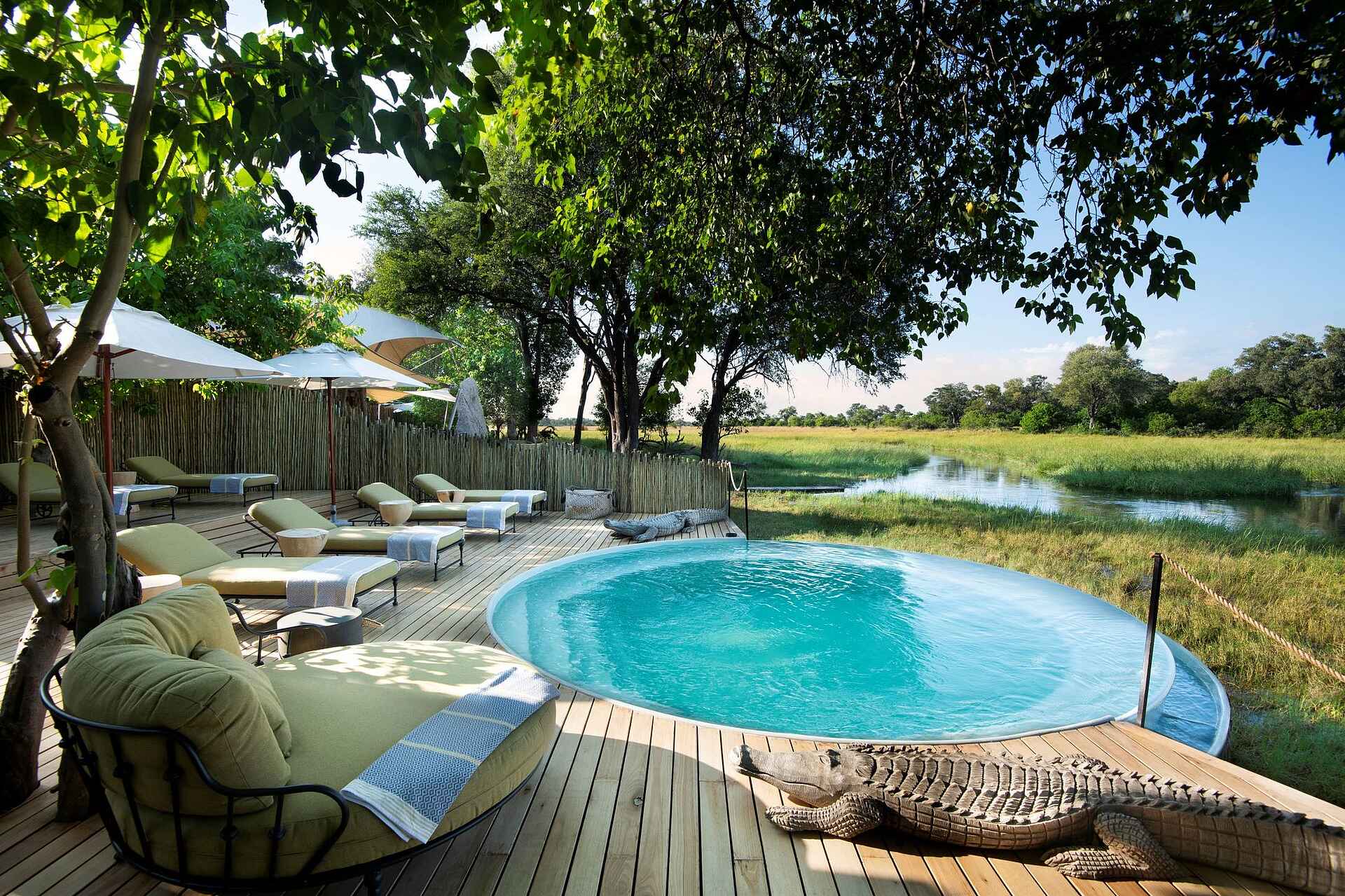 Khwai Leadwood: Swimming Pool Khwai Leadwood: Swimming Pool