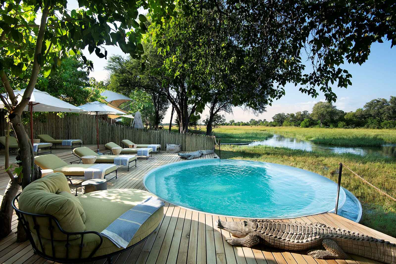 Khwai Leadwood: Swimming Pool Khwai Leadwood: Swimming Pool