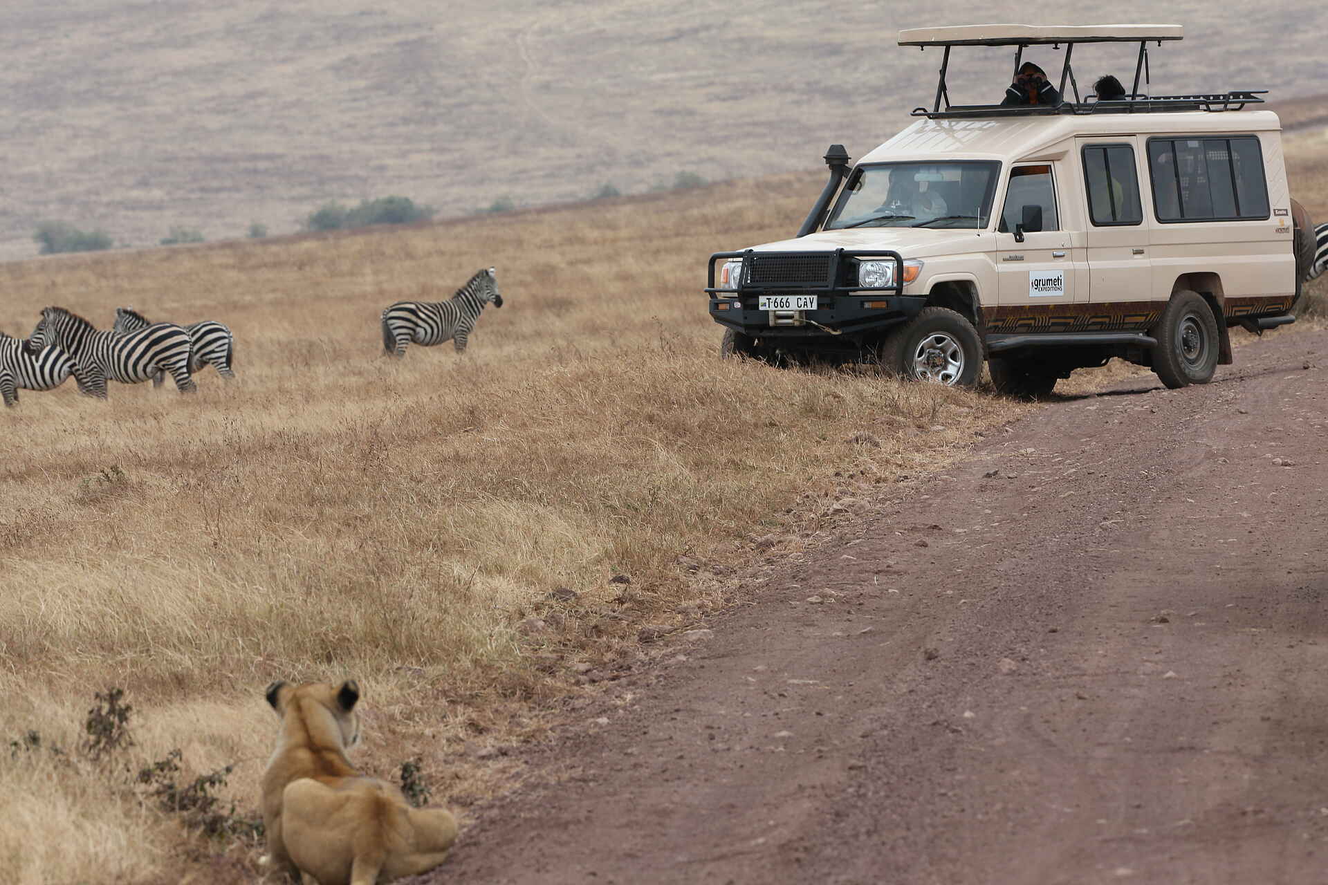 lemala kuria hills, lemala kuria hills bilder, lemala kuria hills lodge, serengeti safari, aktivitäten, pirschfahrt, tiere