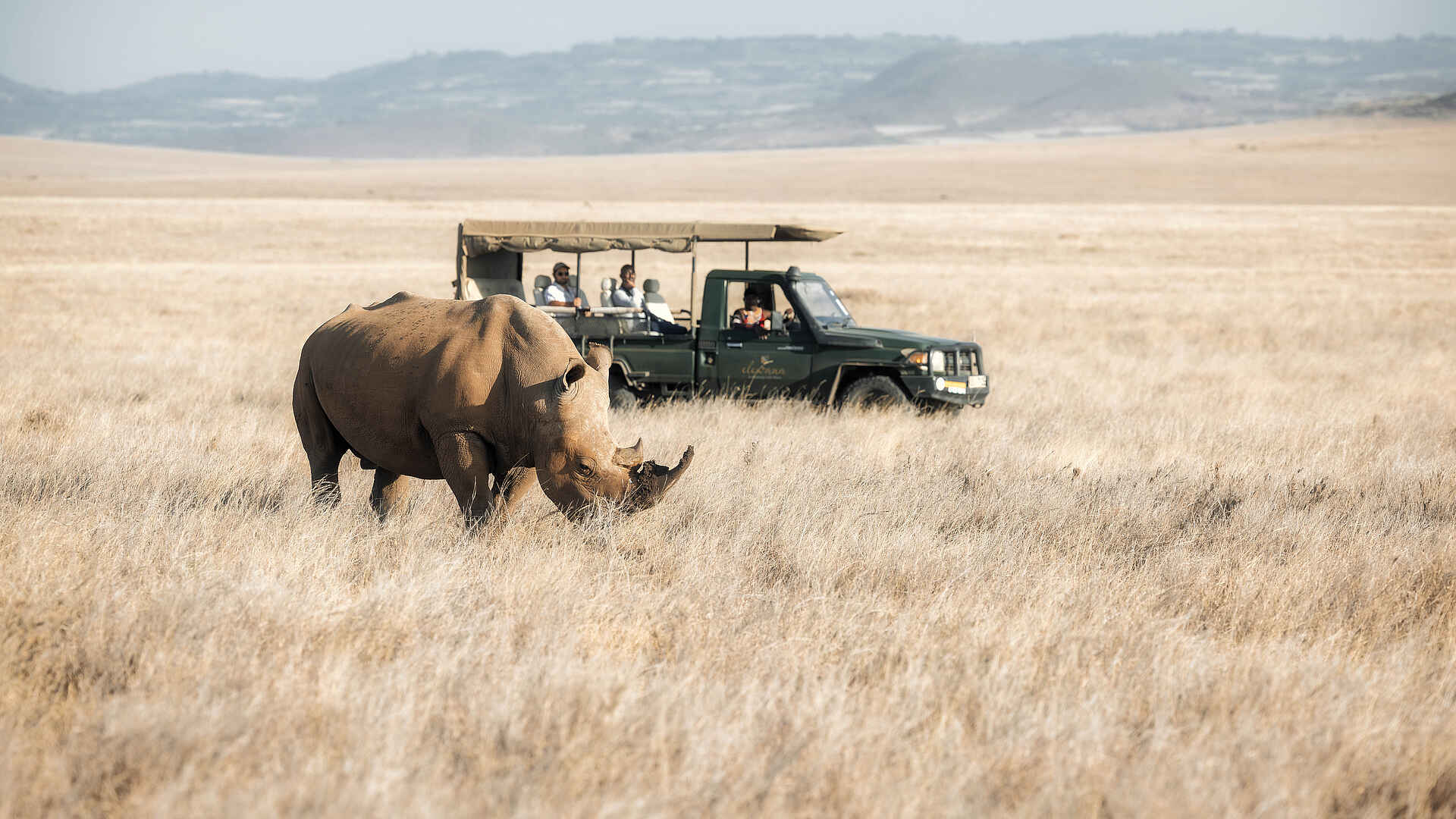 Lewa Safari Camp: Pirschfahrt mit Breitmaulnashorn Lewa Safari Camp: Pirschfahrt mit Breitmaulnashorn