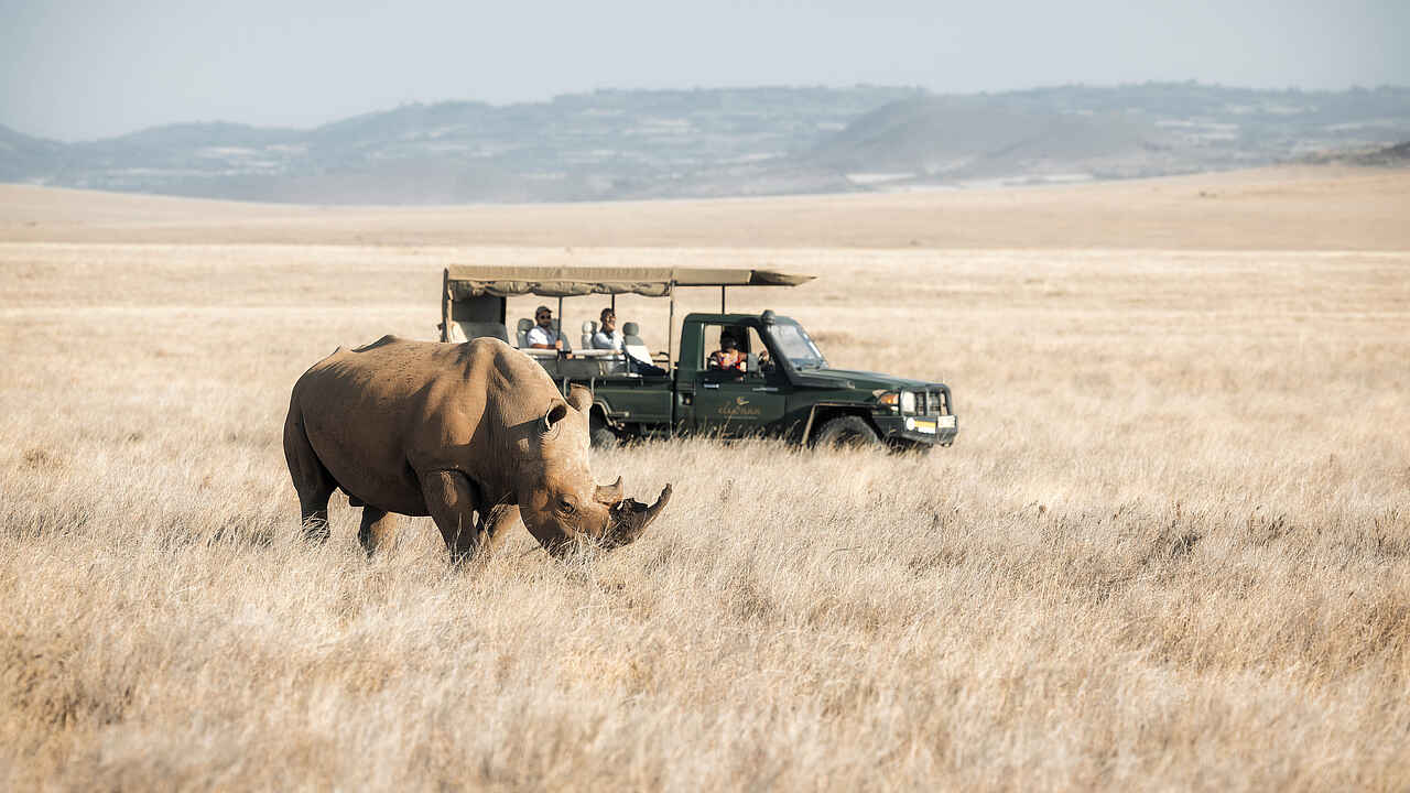 Lewa Safari Camp: Pirschfahrt mit Breitmaulnashorn