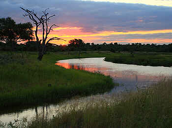 Motswari Game Lodge: Der Fluss