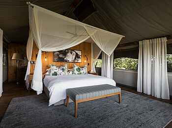 Sable Alley Camp: Zelteinrichtung Sable Alley Camp: Zelteinrichtung