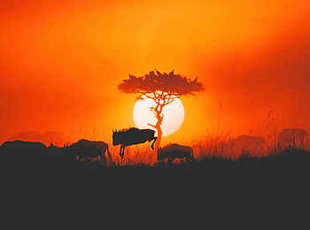 Serian´s Lamai Camp: Sonnenuntergang