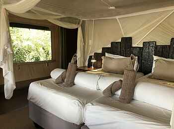 Shametu River Lodge: Twin Beds