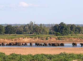 Chilo Mahove Tented Camp: Elefanten überqueren den Runde River Chilo Mahove Tented Camp: Elefanten überqueren den Runde River