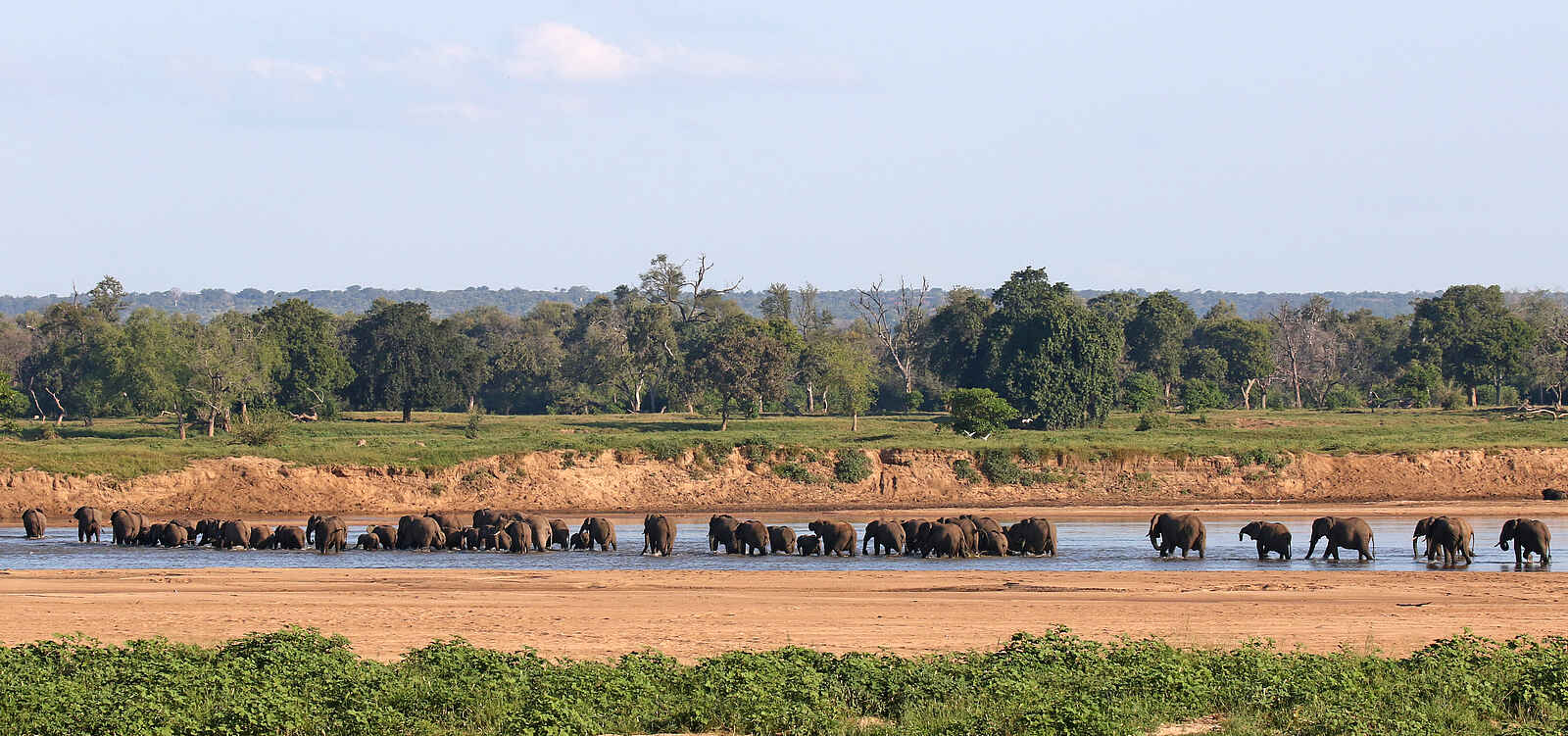 Chilo Mahove Tented Camp: Elefanten überqueren den Runde River Chilo Mahove Tented Camp: Elefanten überqueren den Runde River