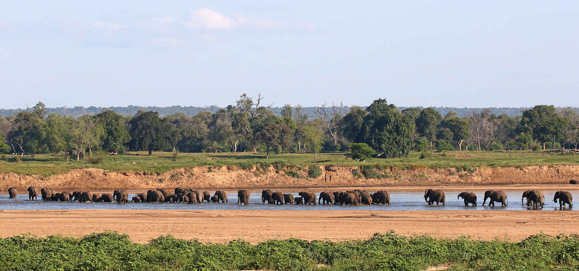 Chilo Mahove Tented Camp: Elefanten überqueren den Runde River