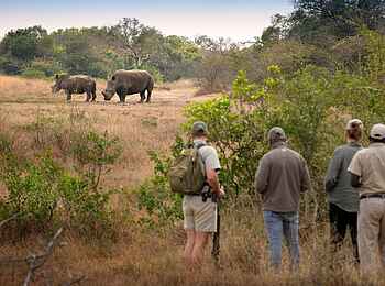 andBeyond Phinda Vlei Lodge: Nashörner auf Wandersafari beobachten