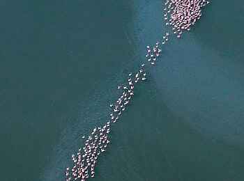 Camp Kalahari: Aus der Vogelperspektive