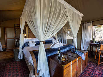 Duba Explorers Camp: Im Gästezelt