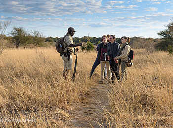 Gomoti Plains Camp: Walking Safari