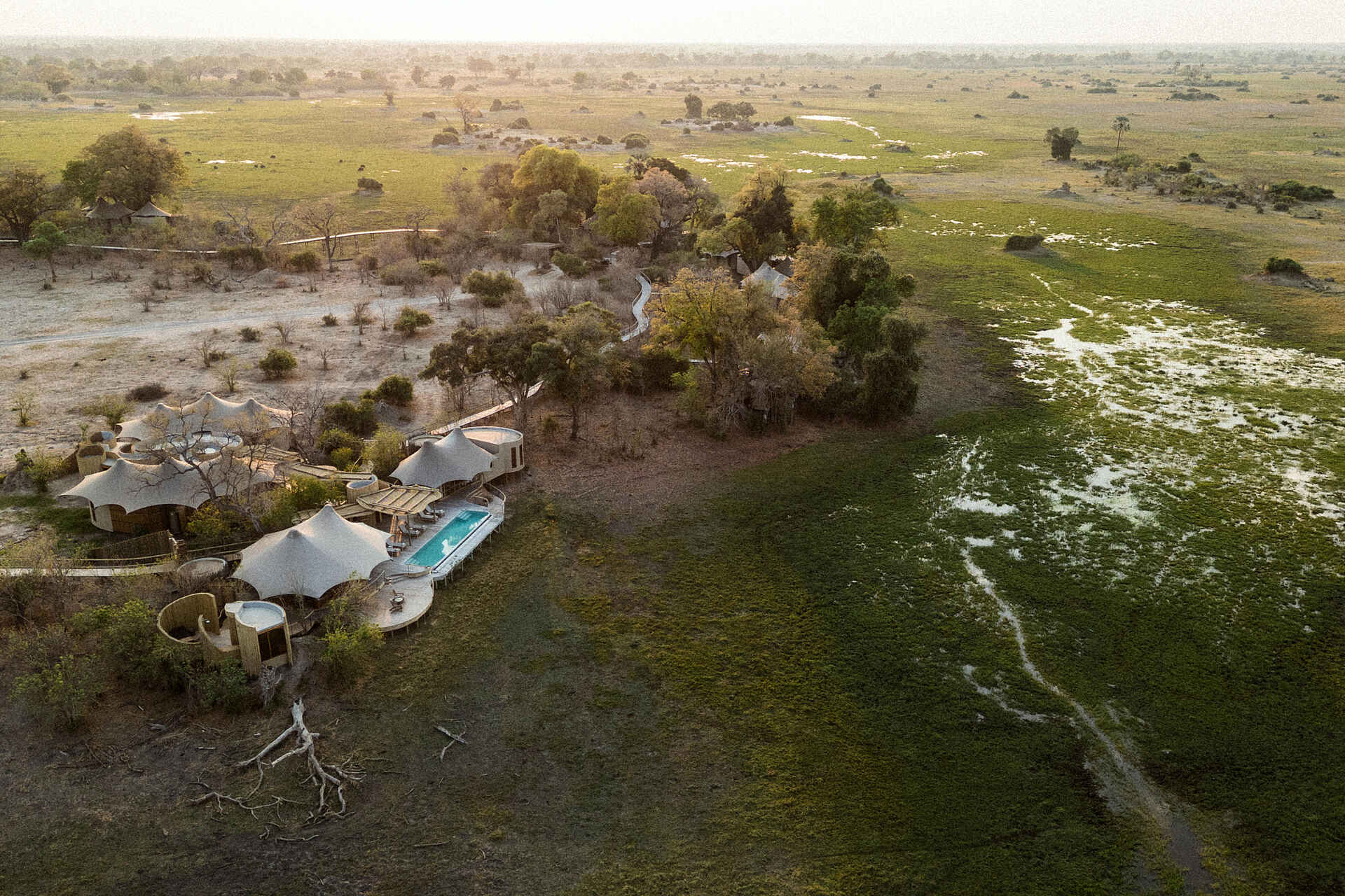 Little Mombo Camp: Aus der Vogelperspektive Little Mombo Camp: Aus der Vogelperspektive