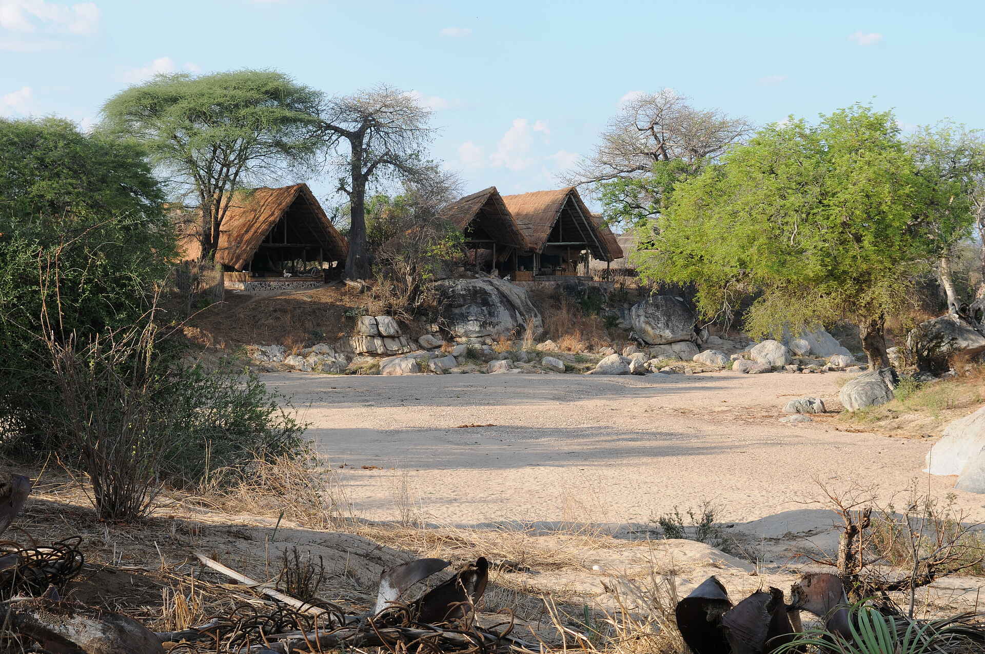 Mwagusi Safari Camp, Ruaha National Park, Ruaha River, Südliches Tansania, Banda, Flussufer, Afrikarma, Afrikarma Safaris, Afrikarma Safaris - Wildnis. Hautnah., Afrikarma.de