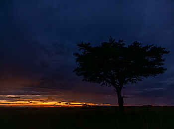 Papa´s Camp: Dämmerung