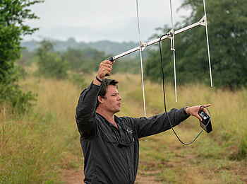 Magashi Camp: Löwen werden geortet