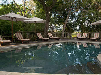 Sabi Sabi Selati Camp: Der Pool Sabi Sabi Selati Camp: Der Pool