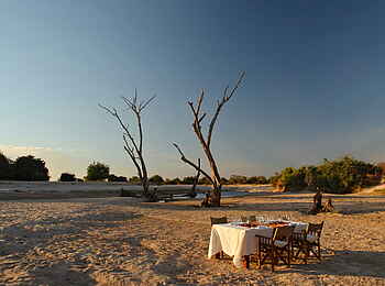 Time + Tide Nsolo: Bushdinner