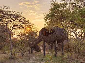 Chisa Busanga Camp: Außergewöhnliches Zimmer im Vogelneststil Chisa Busanga Camp: Außergewöhnliches Zimmer im Vogelneststil