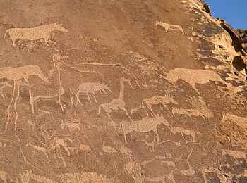 Doro Nawas: Felsgravuren