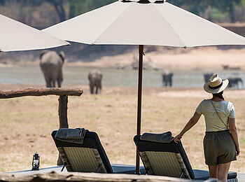 Shawa Luangwa Camp: Pool View