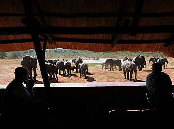 Ivory Lodge: Im Hide Ivory Lodge: Im Hide