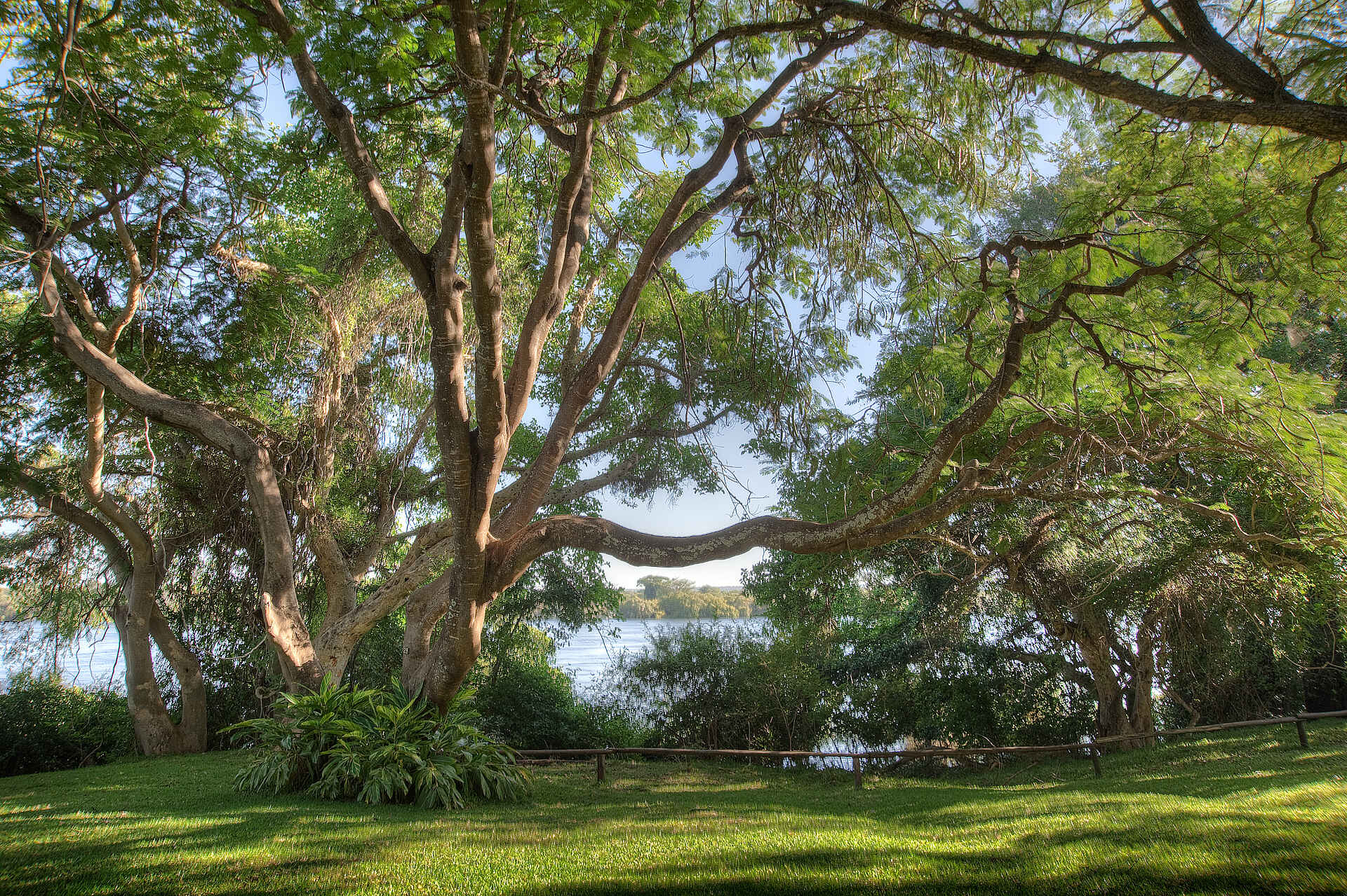 Chobe National Park, Chobe River, Kasane, Kubu Lodge, Garten