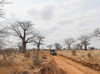 Kwihala Camp: Safarifahrzeug aus der Ferne