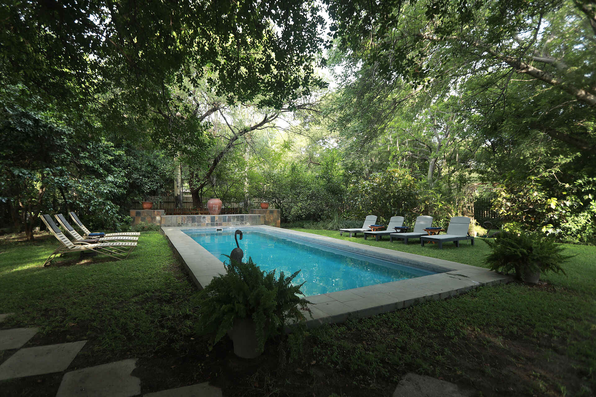 Maun Waterfront Guesthouse: Der Poolbereich